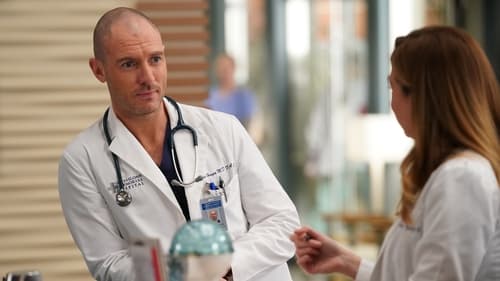 movies/2024-08-24/greys-anatomy-h2lg1DtmRDXKkc6cZqISlXT9uz.jpg