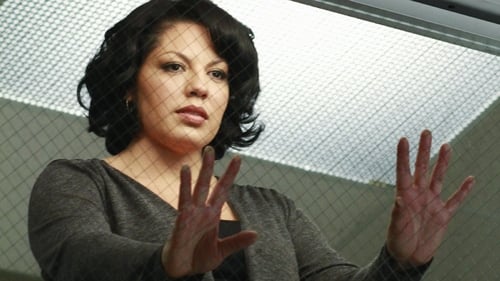 movies/2024-08-24/greys-anatomy-h4OGtChVI58o3C6IyUCqiYYyIIS.jpg