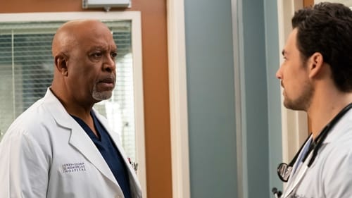 movies/2024-08-24/greys-anatomy-hxNBhwPBLuT5jaFilC7JemmchKp.jpg