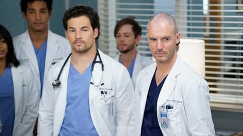 movies/2024-08-24/greys-anatomy-i9dtpG8tm6WSgG1VZRtplJD3Zpq.jpg