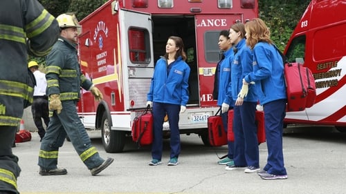 movies/2024-08-24/greys-anatomy-iGy0DwnPaMWTJrsdjV9sYG7NHQY.jpg