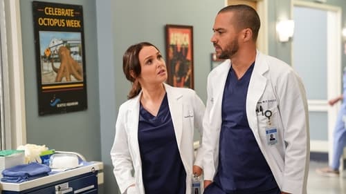 movies/2024-08-24/greys-anatomy-iJORU7Ije8sz1tYaQU1Zjb2wNsu.jpg