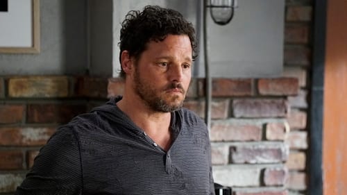 movies/2024-08-24/greys-anatomy-iTFrbulUDq93WU7gv0UfhDfxeQ3.jpg