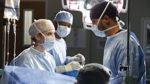movies/2024-08-24/greys-anatomy-ie7iF5Xlc338qeCGjwCDE44JZgI.jpg