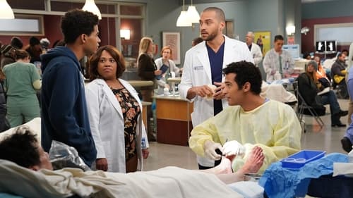 movies/2024-08-24/greys-anatomy-j3d3Ivqi3fBfk8EkJqX44krgqQO.jpg