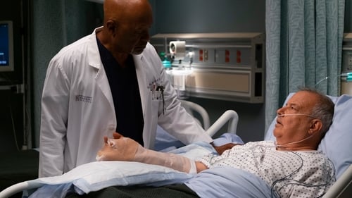 movies/2024-08-24/greys-anatomy-jNR12KsN2XE5g1fhyt0H73vSk79.jpg