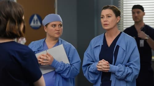 movies/2024-08-24/greys-anatomy-jje8KrK0u7NkFwsoN3fnVB1QSwR.jpg