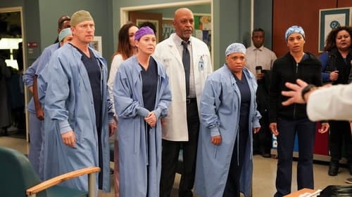 movies/2024-08-24/greys-anatomy-jtZIotYQGMRtIhurU8iFcXGu9va.jpg