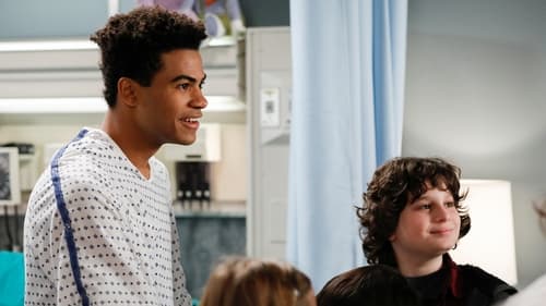movies/2024-08-24/greys-anatomy-kWxnC8Oa6n3SPUTpbEWszSXv5hO.jpg