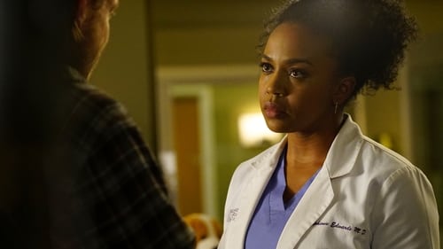 movies/2024-08-24/greys-anatomy-kab6Uyd13ElO11JTqID9VvOYxeL.jpg