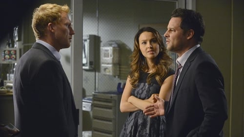 movies/2024-08-24/greys-anatomy-lILCVoOmtRI3YB6zcVyxVpTC37A.jpg