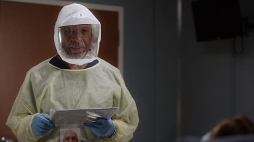 movies/2024-08-24/greys-anatomy-lSTVcf8rHR8wQJKPOBh7TkYP4jn.jpg