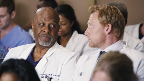 movies/2024-08-24/greys-anatomy-lXwSrkATor9OtNamXbjIvGq2RMW.jpg