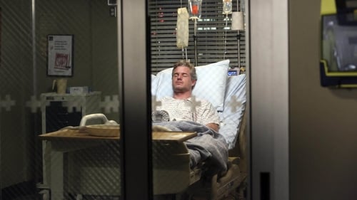 movies/2024-08-24/greys-anatomy-lkLz4Pl1E7x0wRM0sEaP4rLoQGV.jpg