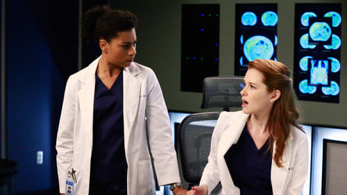 movies/2024-08-24/greys-anatomy-lz30etb9tw6xEjXajipvX51P2QO.jpg