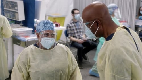 movies/2024-08-24/greys-anatomy-mZgaEamFwVv6iFkncKM6K1JClkd.jpg