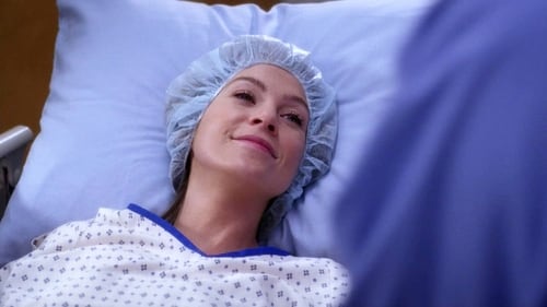 movies/2024-08-24/greys-anatomy-mdbwEB5OI9UOd0iWagevbNv9wj8.jpg