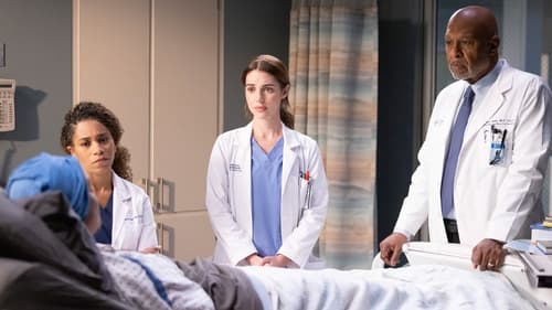 movies/2024-08-24/greys-anatomy-mzkwNZ7qoROUFlJUbUbxaX0U9gg.jpg