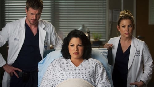 movies/2024-08-24/greys-anatomy-ndl56253DhJiGWO2jN4ja8iyGW0.jpg