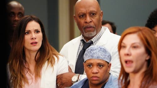 movies/2024-08-24/greys-anatomy-ngxu1NxYyYBbstJWxED1H1S2Z75.jpg