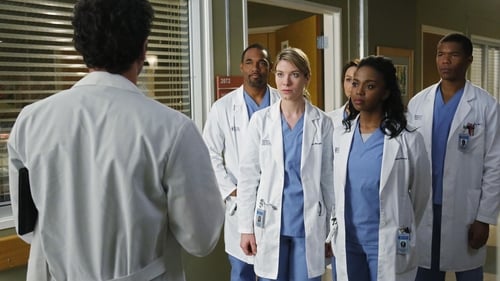 movies/2024-08-24/greys-anatomy-nwK03rmlF6tAiMGsFiQBTF0NAd2.jpg