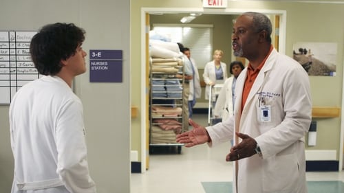 movies/2024-08-24/greys-anatomy-oABrA8sEDmYt9JV9o1OXjsOwSr0.jpg