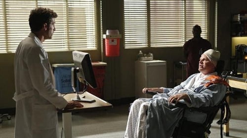 movies/2024-08-24/greys-anatomy-oEt2UG0WoguRipOeD519a1jfVRl.jpg