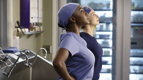 movies/2024-08-24/greys-anatomy-oOHlsOgTuzlLKQg2FVVKFmWQdCp.jpg