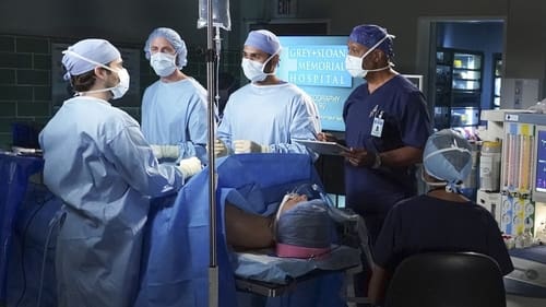 movies/2024-08-24/greys-anatomy-olxXQfVSSFJBXd91fRyeAliM1Vt.jpg