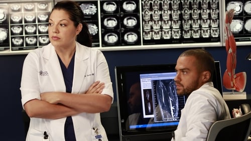 movies/2024-08-24/greys-anatomy-ox2EpoN0nnX2K1GHtbWM37n2A3v.jpg