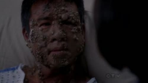 movies/2024-08-24/greys-anatomy-pkSyNh3BQH7uWjQnNJbcSaIBZed.jpg