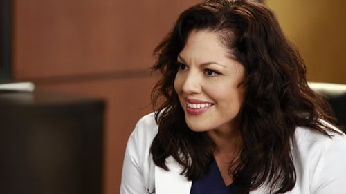 movies/2024-08-24/greys-anatomy-py54CG9LzJuhY8LbguIw1WotJA1.jpg