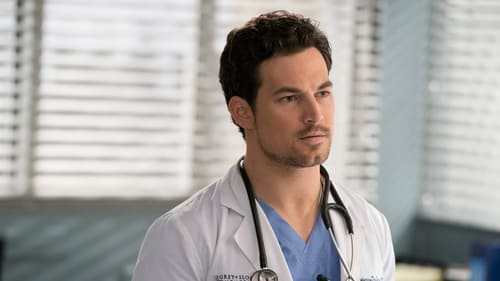 movies/2024-08-24/greys-anatomy-qSv1L76WTDyOy7fFxiBGOwOjyMl.jpg
