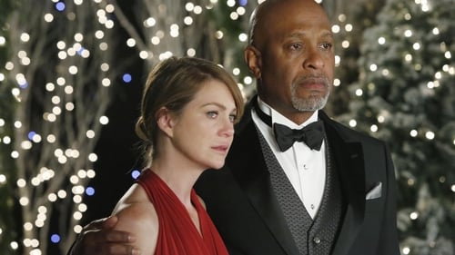 movies/2024-08-24/greys-anatomy-qUkedNd90hGt5qCrrW927SOxYsk.jpg