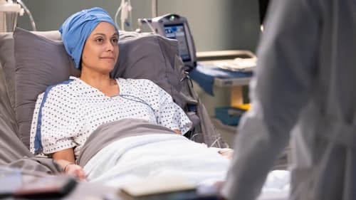 movies/2024-08-24/greys-anatomy-qhRVuhB7eg3j3BhSxRR1rTrlj3m.jpg