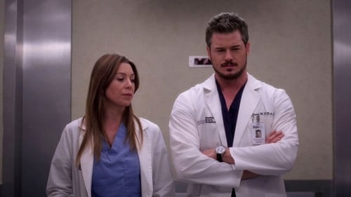 movies/2024-08-24/greys-anatomy-qhhgPqpRzkn7xfQUzqc8bBWAIer.jpg