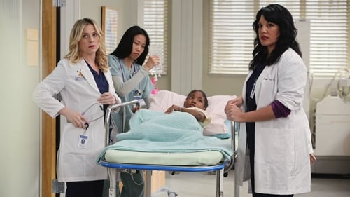 movies/2024-08-24/greys-anatomy-qudW1NWTBac8DgdhpMXfV1jLenl.jpg