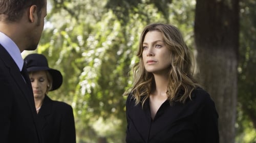 movies/2024-08-24/greys-anatomy-qukvakGLUdWYGnwkpIRlDTBVAqj.jpg