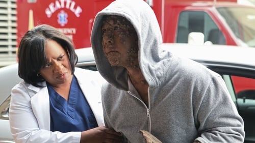 movies/2024-08-24/greys-anatomy-qxQsFPlvrFVehVxeHqbnui6CDS2.jpg