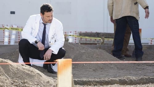 movies/2024-08-24/greys-anatomy-qz413qiYxUSuFfGzKkKNtWe2OK7.jpg