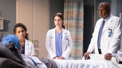 movies/2024-08-24/greys-anatomy-sL1HEzJIIT2KZMPZR4ikgLkgoTM.jpg