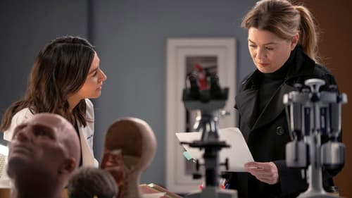 movies/2024-08-24/greys-anatomy-sOpl28eCTM0EgPvYtghTBoJnxY4.jpg