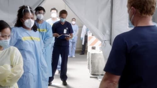 movies/2024-08-24/greys-anatomy-sRIaFxkhNwK0KSQ5O8TCIT0gJVT.jpg