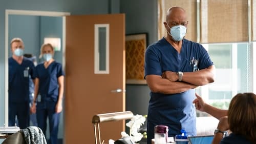 movies/2024-08-24/greys-anatomy-sT1BmGmz5Q4Of6bCMnenfXloRIO.jpg