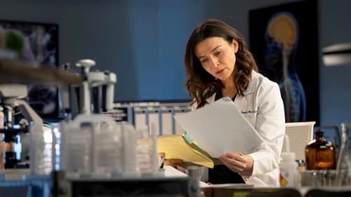 movies/2024-08-24/greys-anatomy-sUTtxCkirFrj4yS1ivoYyoQhjOU.jpg