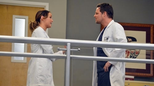 movies/2024-08-24/greys-anatomy-sayFzFtMdfFWS73dU094AdCdDz5.jpg
