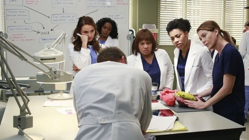 movies/2024-08-24/greys-anatomy-sv4yTsG0fq61pF0anvMJQHVKHHF.jpg