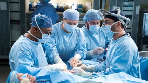 movies/2024-08-24/greys-anatomy-tOUAId2y9UiwuohucJGrrfZ9ia2.jpg