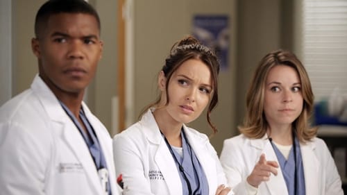 movies/2024-08-24/greys-anatomy-tQTbGwdSDsvoG2H0FU4ve2gb32.jpg