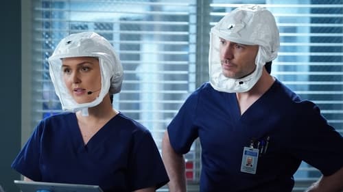movies/2024-08-24/greys-anatomy-tfVNLP8KdL1ntmhHKnqEOZ3YRqo.jpg